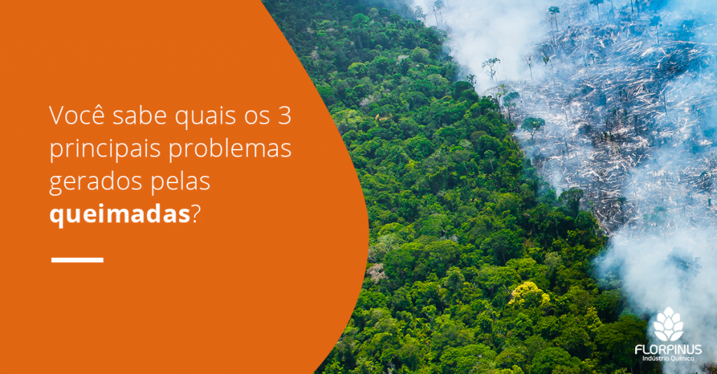 3 principais problemas das queimadas 1 Florpinus post dezembro3