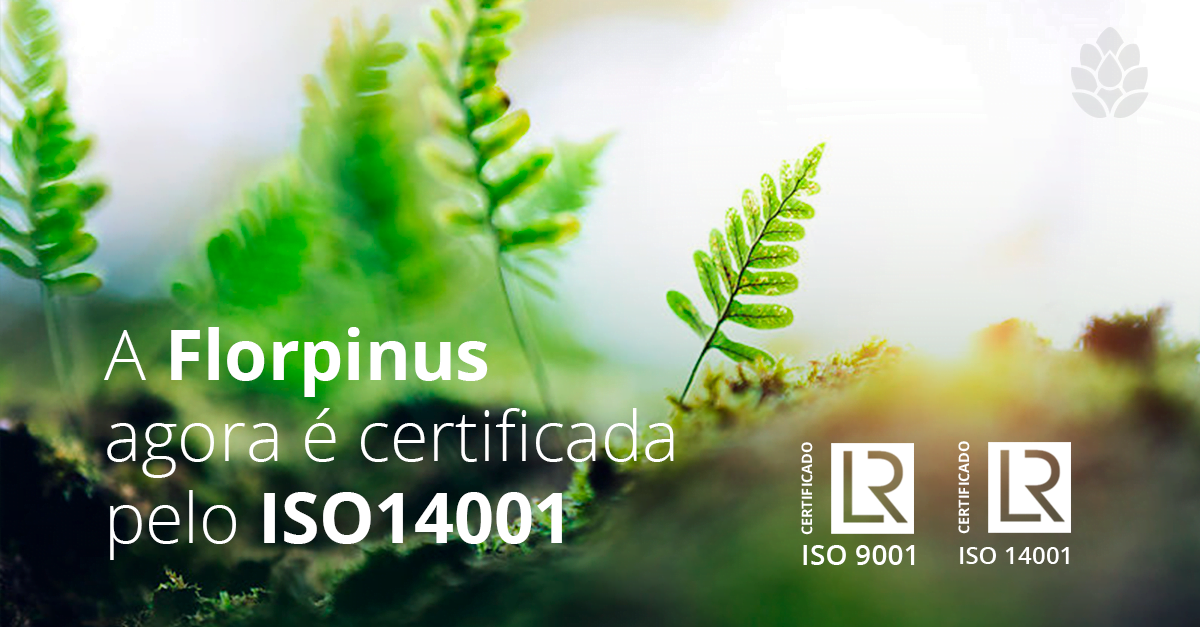 Floripinus-Post-Iso-v2
