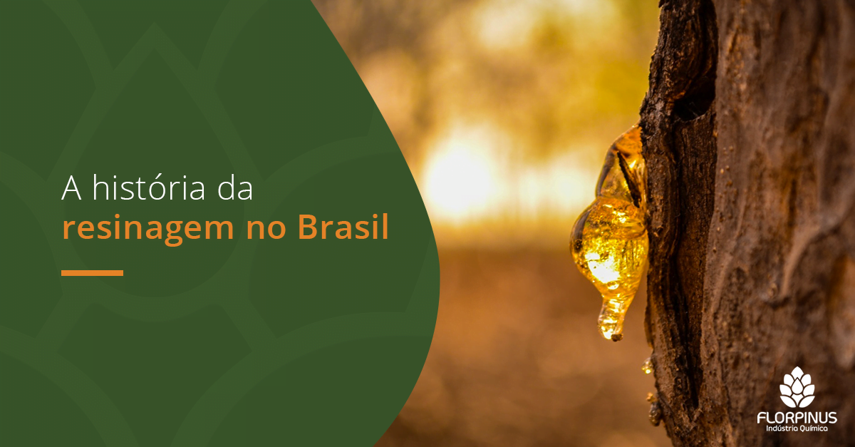 Florpinus---Post-fevereiro3