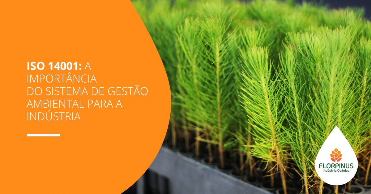 Florpinus-Posts-Outubro1