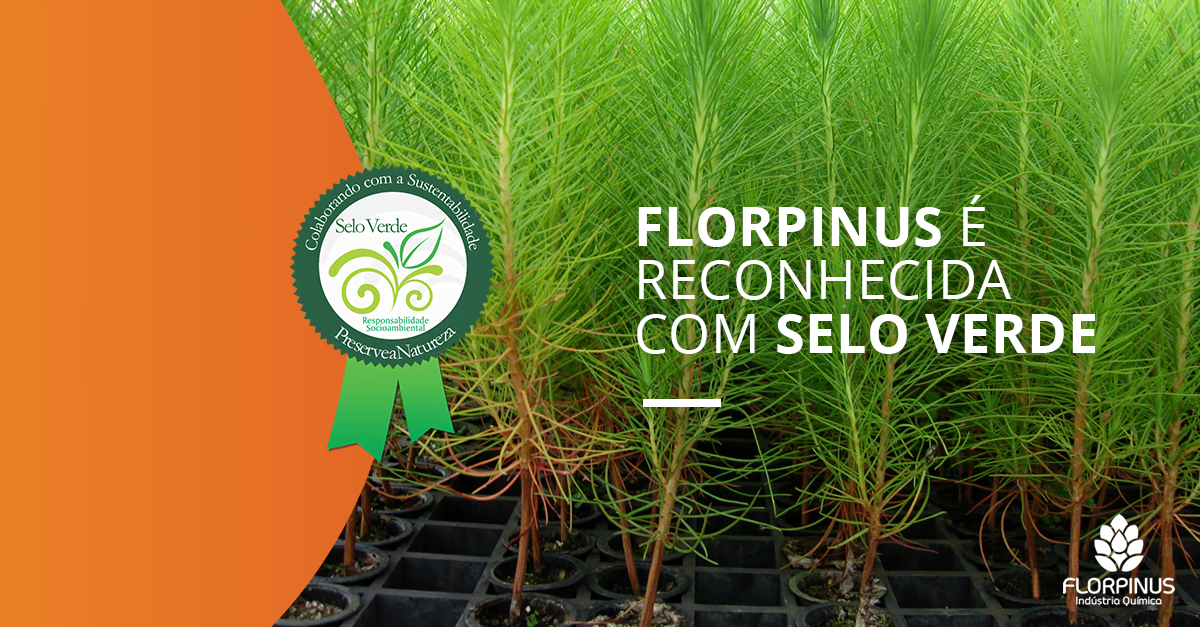 Florpinus-blog