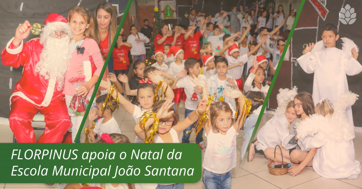 posts-linkedin_escola-municipal-1 (1)