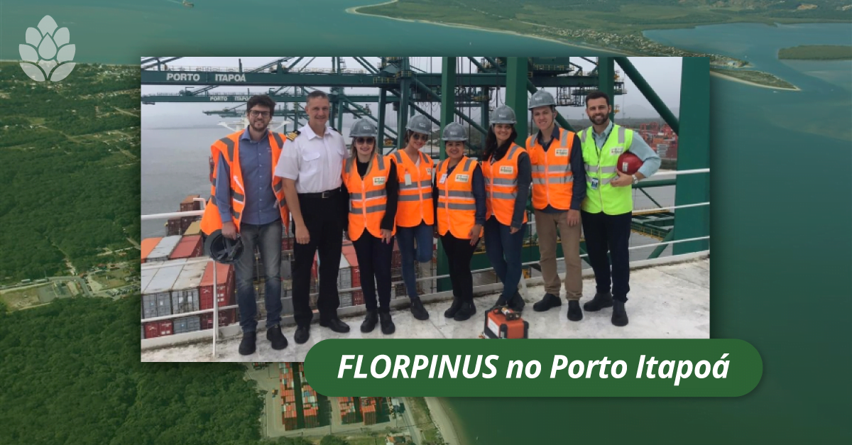 posts-linkedin_porto-itapoa-1